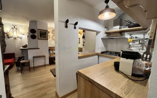 Affitto appartamento quadrilocale Courmayeur rif. A314