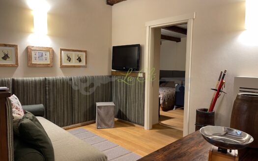 Affitto appartamento trilocale Courmayeur rif. A762