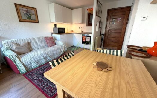 Affitto appartamento bilocale Courmayeur rif. A876