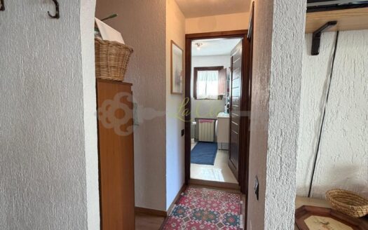 Affitto appartamento bilocale Courmayeur rif. A876