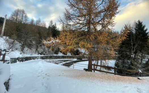 Vendita chalet Morgex rif. V837