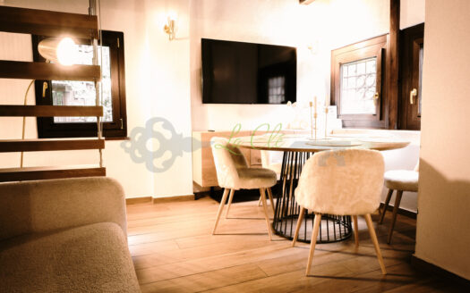 Affitto chalet trilocale Courmayeur rif. A880