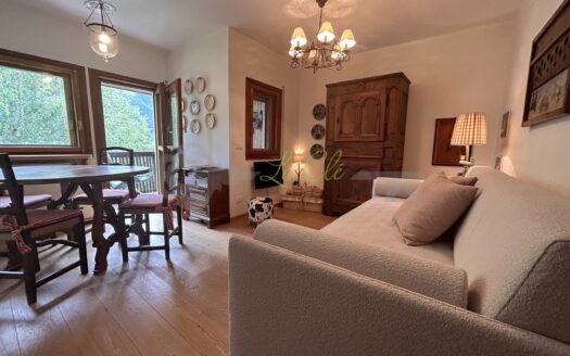 Affitto appartamento bilocale Courmayeur rif. A594