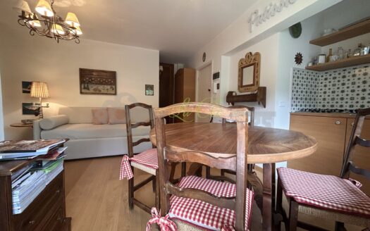 Affitto appartamento bilocale Courmayeur rif. A594