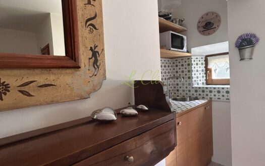 Affitto appartamento bilocale Courmayeur rif. A594