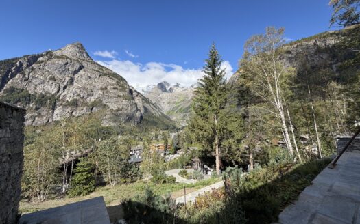 Affitto chalet quadrilocale Courmayeur rif. A887