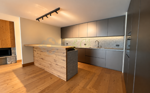 Affitto chalet quadrilocale Courmayeur rif. A887