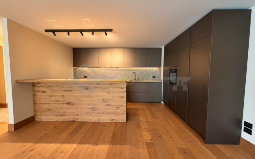 Affitto chalet quadrilocale Courmayeur rif. A887