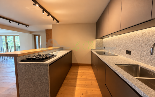 Affitto chalet quadrilocale Courmayeur rif. A887
