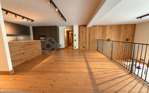 Affitto chalet quadrilocale Courmayeur rif. A887