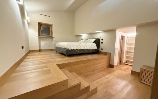 Affitto chalet quadrilocale Courmayeur rif. A887