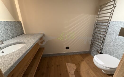 Affitto chalet quadrilocale Courmayeur rif. A887
